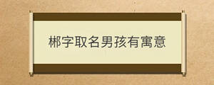 郴字取名男孩有寓意