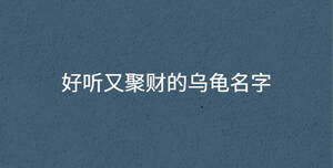 好聽又聚財的烏龜名字