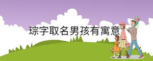琮字取名男孩有寓意