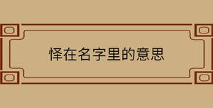 懌在名字里的意思