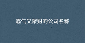 霸氣又聚財的公司名稱