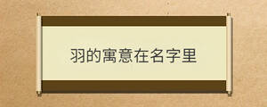 羽的寓意在名字里