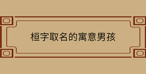 桓字取名的寓意男孩