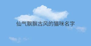 簡約藍(lán)色背景 - 2022-08-29T152238.138.jpg