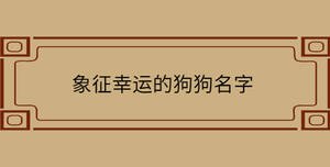 象征幸運的狗狗名字
