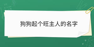狗狗起個旺主人的名字