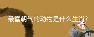 起名 - 2022-10-12T135636.597.jpg