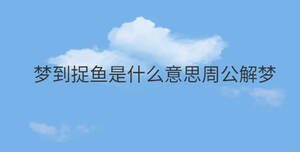 夢到捉魚是什么意思周公解夢