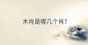傳統 - 2022-10-27T111833.561.jpg