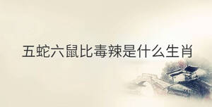 傳統(tǒng) - 2022-10-28T100538.755.jpg