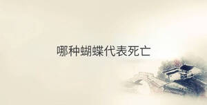 傳統(tǒng) - 2022-11-12T095423.396.jpg
