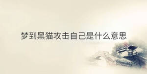 夢(mèng)到黑貓攻擊自己是什么意思