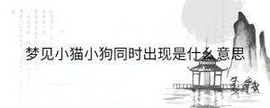 夢見小貓小狗同時出現(xiàn)是什么意思