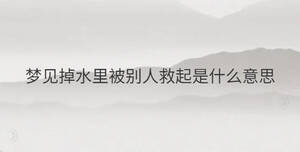 簡單 - 2022-11-22T140235.675.jpg