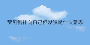 簡(jiǎn)約藍(lán)色背景 - 2022-11-29T100336.725.jpg