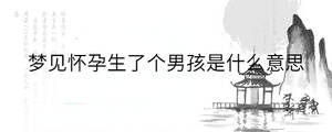 夢(mèng)見懷孕生了個(gè)男孩是什么意思