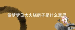 起名 - 2022-12-13T113651.874.jpg