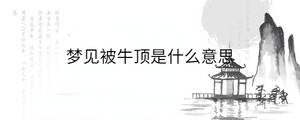 背景圖 - 2022-12-16T140326.983.jpg