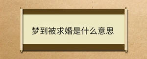 問答 - 2022-12-27T095004.029.jpg