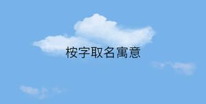 簡約藍色背景 - 2023-01-31T144500.712.jpg