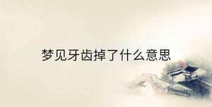 傳統(tǒng) - 2023-02-15T093639.646.jpg