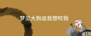 起名 - 2023-02-24T143716.800.jpg