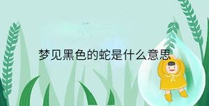 小孩起名 - 2023-04-03T113626.173.jpg