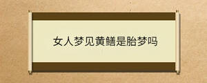 問答 - 2023-04-03T140447.988.jpg