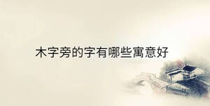 傳統(tǒng) - 2023-04-06T154649.302.jpg