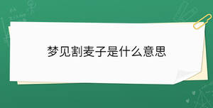開學季 - 2023-04-21T110953.367.jpg