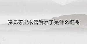 夢(mèng)見家里水管漏水了是什么征兆