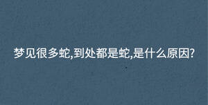 夢見很多蛇,到處都是蛇,是什么原因?