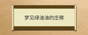 問(wèn)答 (52).jpg
