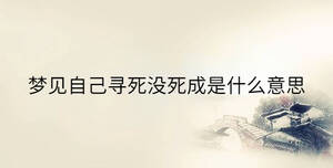 傳統(tǒng) - 2023-06-16T113711.566.jpg