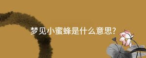 夢見小蜜蜂是什么意思?