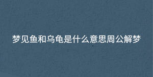 深色背景 - 2023-07-24T134107.463.jpg