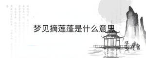 背景圖 - 2023-08-18T140939.290.jpg
