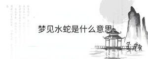 背景圖 - 2023-08-19T094251.473.jpg
