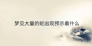 傳統(tǒng) - 2023-08-30T160130.690.jpg